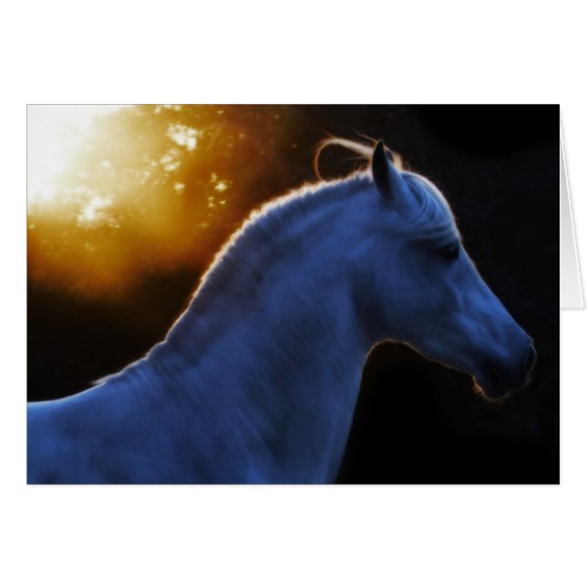 ペコス夕べ光 (正面横)