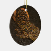 ペコルティア・コンプタ セラミックオーナメント (右)