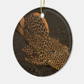 ペコルティア・コンプタ セラミックオーナメント (左)