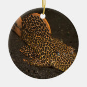 ペコロッティア集団 セラミックオーナメント (正面)