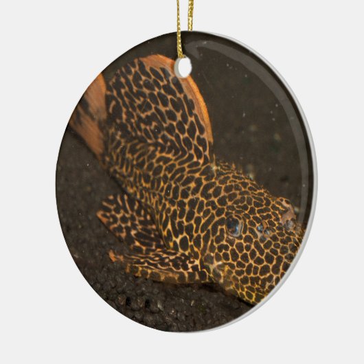 ペコロッティア集団 セラミックオーナメント (左)