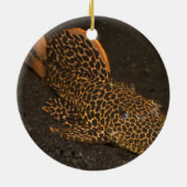 ペコロッティア集団 セラミックオーナメント (裏面)