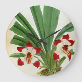 ペスカトーレクラボチュラムオーキッドリンデニアコレクション ラージ壁時計