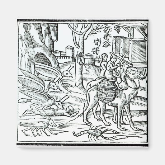 ペストの代表, 1572 マグネット (正面)