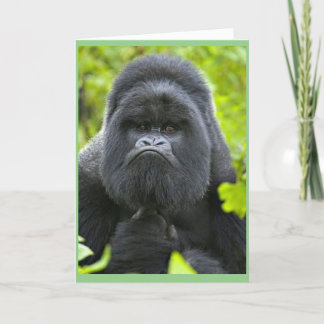 ペストユーモア カード