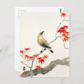 ペスト日本のバードー – Ohara Koson -ヴィンテージアート ポストカード (正面/裏面)