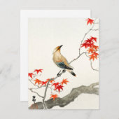 ペスト日本のバード大原小村ヴィンテージアートカード (正面/裏面)