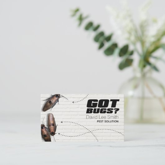 ペスト溶液 名刺 (スタンド正面)