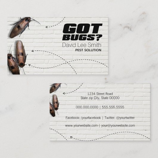 ペスト溶液 名刺 (正面/裏面)