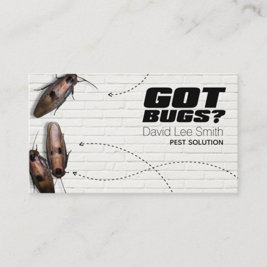 ペスト溶液 名刺 (正面)