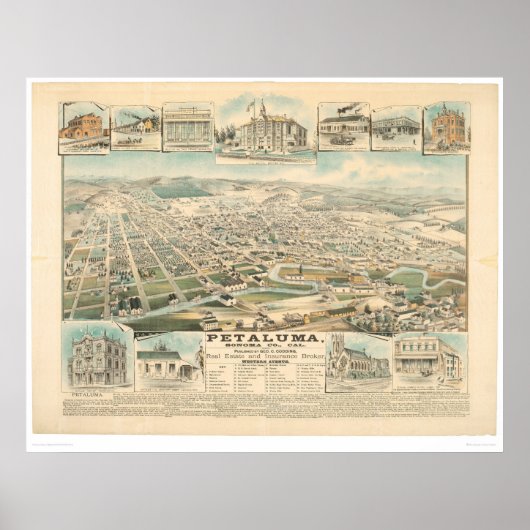 ペタルマ、カリフォルニア州(1314A) ポスター (正面)