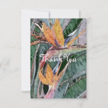 ペタル・オブ・パラダイス