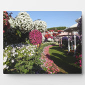 ペチュニアのプラーク フォトプラーク (正面)