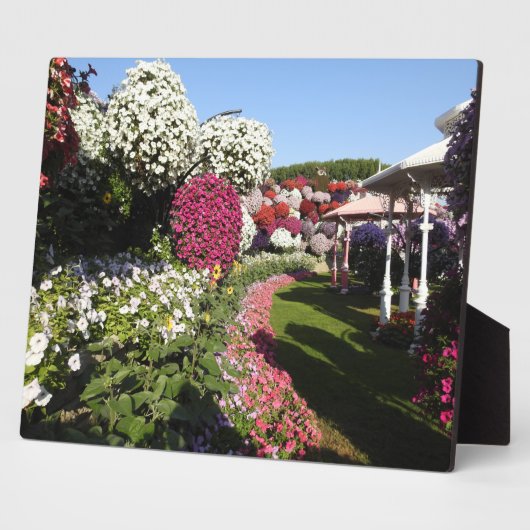 ペチュニアのプラーク フォトプラーク (側面)