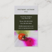 ペチュニアのラディバグ 名刺 (裏面)