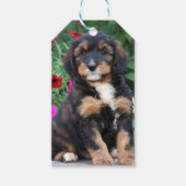 ペチュニアスのベルネドードルの子犬 ギフトタグ (正面)