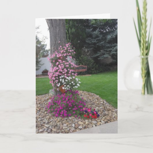 ペチュニアス誕生日カード カード (正面)