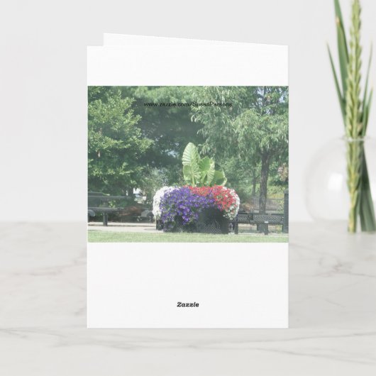 ペチュニアス&エレファント考えイヤー、オブユー カード (裏面)