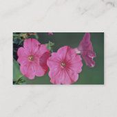 ペチュニアス·ピンクの花 名刺 (裏面)