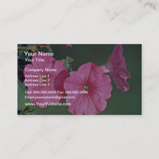 ペチュニアス·ピンクの花 名刺 (正面)