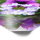 ペチュニアパープル&ホワイトフラワーフォトプリント フォトプリント            (角)