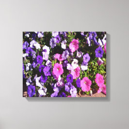 ペチュニアフラワーパッチ キャンバスプリント