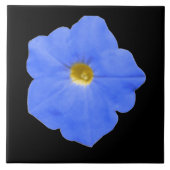 ペチュニアブルーとイエロータイル タイル (正面)