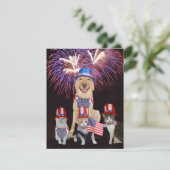 ペッおもしろいツ7月4日招待状 招待状 (スタンド正面)