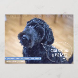 ペッおもしろいト(人間のベビー)妊娠告知 招待状