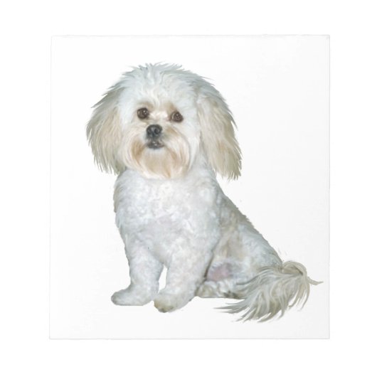 ペッカポー ノートパッド (正面)