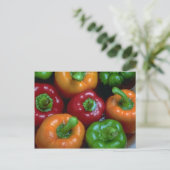 ペッカラフルパー、クローズアップ ポストカード (スタンド正面)