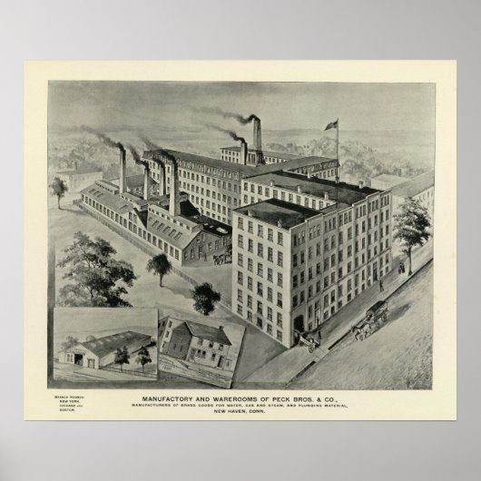 ペックブロス&コ ポスター (正面)