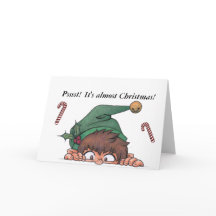 ペッサス!もうすぐクリスマスだ!