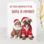 ペッツクリスマスカード カード (黄色い花)