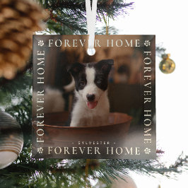 ペッツフォーエバーホームフォトタイポグラフィキープサケ ガラスオーナメント