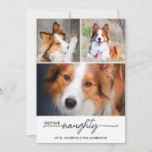 ペットいけなおもしろいカスタム写真の定義Christmtas シーズンカード (正面)