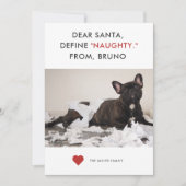 ペットいけなのおもしろい写真の定義 シーズンカード (正面)