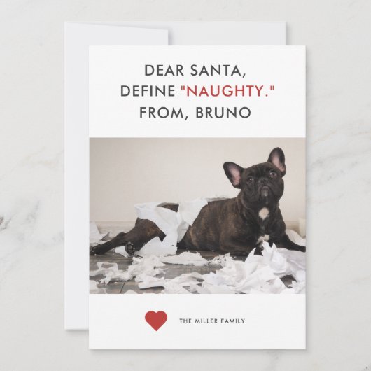 ペットいけなのおもしろい写真の定義 シーズンカード (正面)