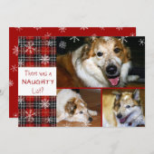 ペットいけなまたは素敵なスノーフレークの格子模様3枚の写真 シーズンカード (正面/裏面)