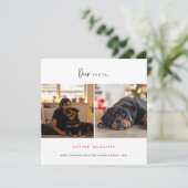 ペットいけなドッグおもしろいのクリスマス写真の穴を定義 シーズンカード (スタンド正面)