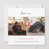 ペットいけなドッグおもしろいのクリスマス写真の穴を定義 シーズンカード (正面)