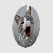 ペットおもしろいがクリスマスをいけな定義 オーナメント (正面)