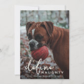 ペットおもしろいがクリスマスをいけな定義 シーズンカード (正面)