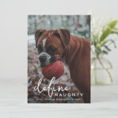 ペットおもしろいがクリスマスをいけな定義 シーズンカード (スタンド正面)