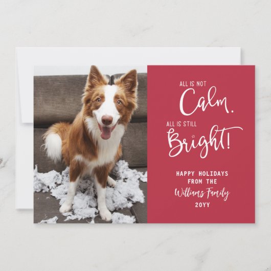 ペットおもしろいすべて穏やかではない3フォトホリデーカード シーズンカード (正面)