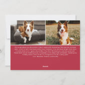 ペットおもしろいすべて穏やかではない3フォトホリデーカード シーズンカード (裏面)