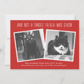 ペットおもしろいの飼い主のいけなクリスマスカード シーズンカード (正面)