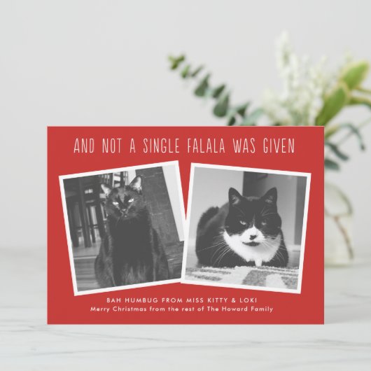 ペットおもしろいの飼い主のいけなクリスマスカード シーズンカード (スタンド正面)