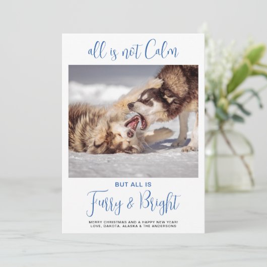 ペットおもしろいは穏やかな犬の写真カスタムではない シーズンカード (スタンド正面)