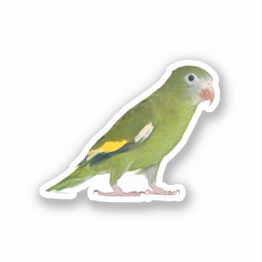 ペットおもしろいカットのカスタム写真 シール (正面)